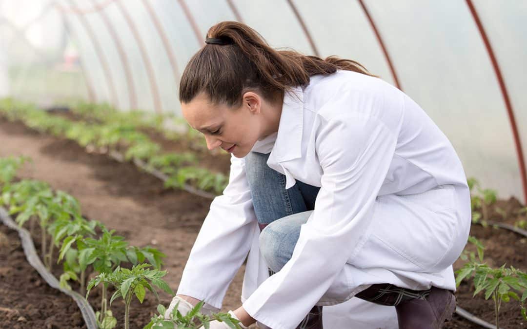 Lux-Casco students gain industry experience