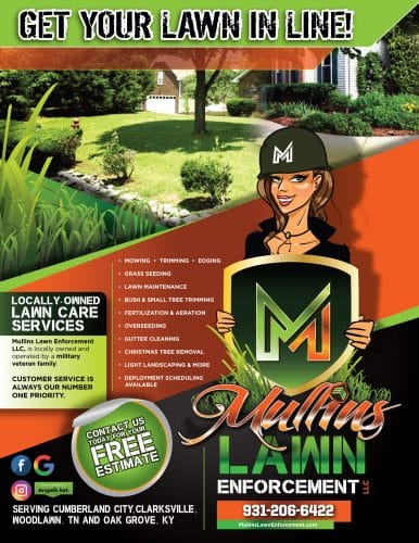 MULLINS LAWN ENFORCEMENT LLC